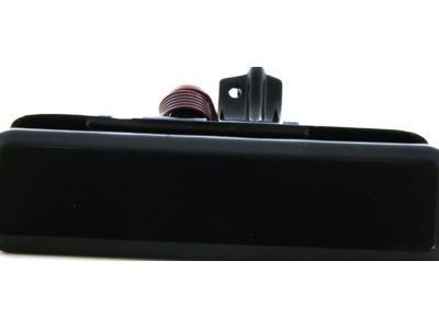 GM 15719666 Handle Assembly, Front Side Door Outside