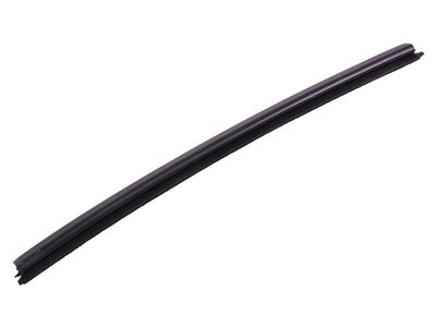 Pontiac Montana Weather Strip - 15238491