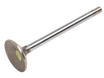 Cadillac STS Exhaust Valve - 12578258