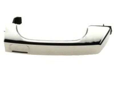 GM 25832249 Handle,Rear Door Outside