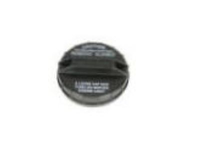 GM 30028010 Cap Asm,Fuel Filler