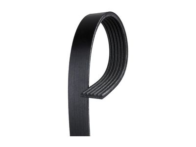 12593774 GM Water Pump & A/C Compressor & Generator & P/S Pump Belt Product Photo 2 of 3