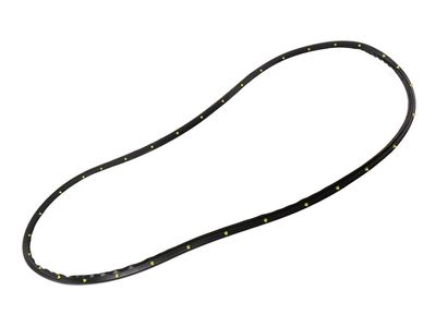 Cadillac CT6 Door Seal - 84136386