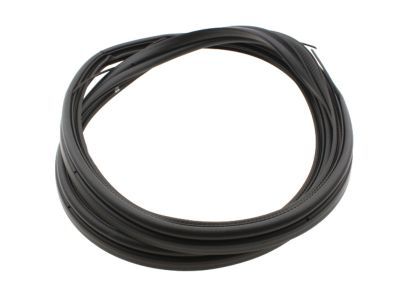 2013 Chevrolet Camaro Weather Strip - 22923286