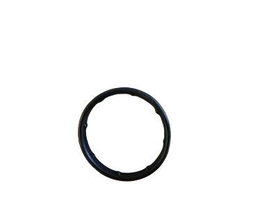 GM 55556547 Seal,Engine Oil Cooler Pipe (O Ring)