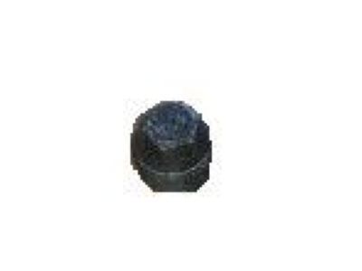 GM 22642474 Bolt/Screw, Trans Support Pipe Expansion