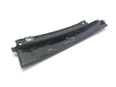 GM 23377435 Applique Assembly, Rear Side Door Window Frame Front