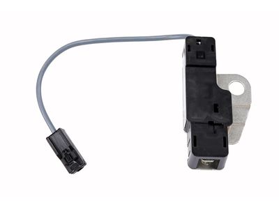 Chevrolet 13486047