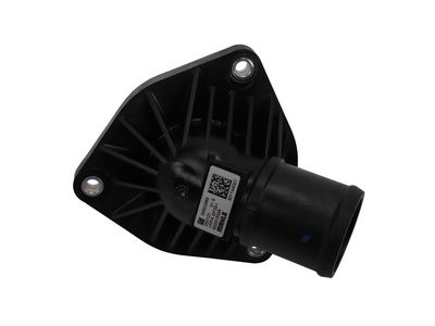 Chevrolet Trailblazer Thermostat - 55503988
