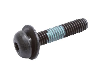 GM 11547412 Bolt,Front Side Door Lock Cover 11547412 GM Bolt,Front Side Door Lock Cover Product Photo 1 of 2