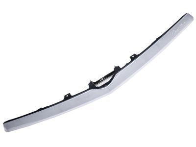 GM 22912161 Applique Assembly, Rear Closure Center *Galvano Silv 22912161 GM Applique Assembly, Rear Closure Center *Galvano Silv Product Photo 1 of 2