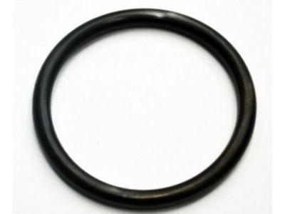 Chevrolet Thermostat Gasket - 96143112