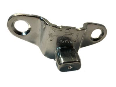 GM 15206082 Hinge Assembly, End Gate Lower (Body Side)