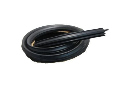 2007 GMC Sierra Door Seal - 22766379