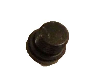 GM 24500661 Plug, Supercharge Oil Fill Hole