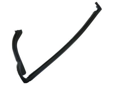 2002 Chevrolet Trailblazer Door Seal - 25775643