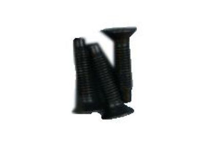 9442471 GM Bolt,Rear Side Door Lock Striker Product Photo 1 of 1