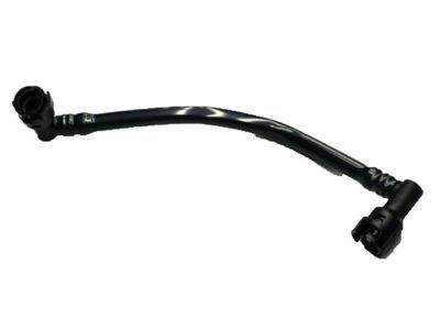 GM 12574897 Harness Assembly, Evap Emission Canister