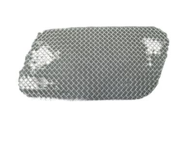 GM 25831825 Grille, Radiator Lower