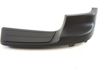GM 12335818 Pad,Rear Bumper Step Outer