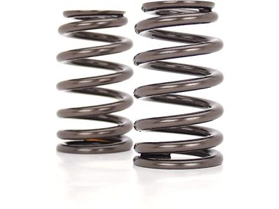 Pontiac Montana Rocker Shaft Spring Kit - 12600774