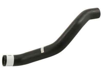 2009 Chevrolet Malibu Radiator Hose - 25822191