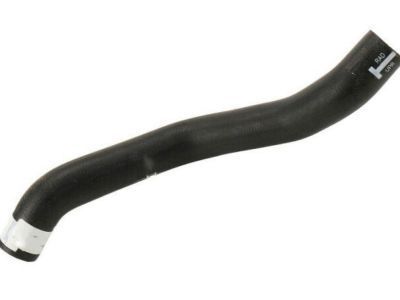 GM 25822191 Radiator Inlet Hose (Upper)