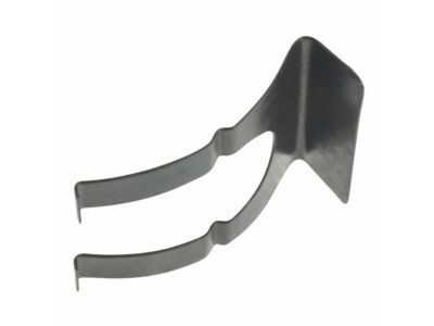 GM 16503699 Clip, Spring Fork