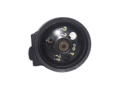 GM 25519310 Pulley Assembly, P/S Pump