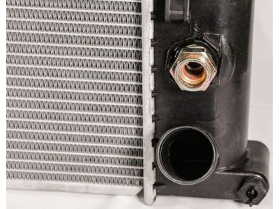 GM 89018318 Radiator Assembly