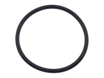 GM 19121496 Seal,Charging Air Cooler Outlet Engine Duct (O Ring)