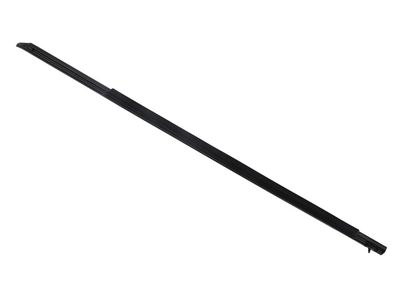 Cadillac CTS Door Moldings - 84445406