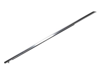 Cadillac CTS Door Moldings - 84445406