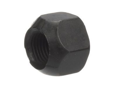 GM 12557390 Nut, Valve Rocker Arm