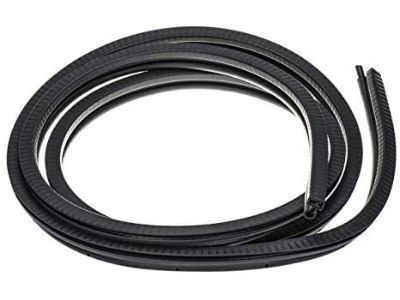 GM 15244250 Weatherstrip,Front Side Door