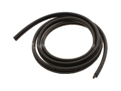 GM 15244250 Weatherstrip,Front Side Door