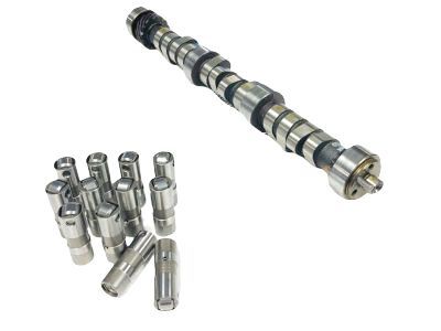 GM 10241691 Camshaft,Engine