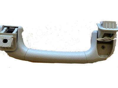 GM 96800992 Handle,Roof Rail Front Asst