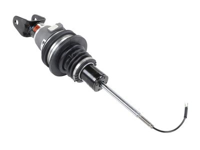 2023 Chevrolet Corvette Shock Absorber - 85644943