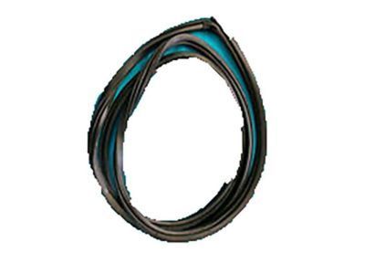 GMC S15 Weather Strip - 15700884