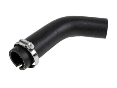 2014 Chevrolet Equinox Fuel Filler Hose - 25802833