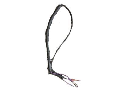 23171566 GM Harness Assembly, Front Side Door Wiring Product Photo 8 of 11