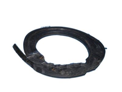 2000 Chevrolet Tahoe Weather Strip - 15055162