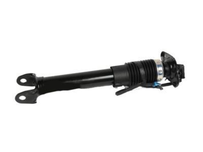 19302791 - Genuine GM Rear Shock Absorber Kit