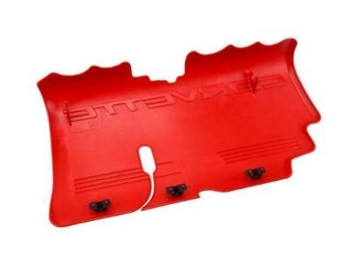 GM 12564257 Cover Assembly, Fuel Injection Fuel Rail (Lh Red Sight Shield)