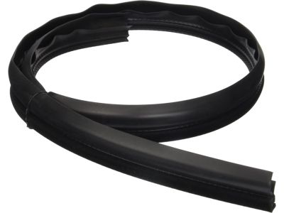 GM 10410004 Weatherstrip, Front Side Door Auxiliary <Use 1C5K*Neutral