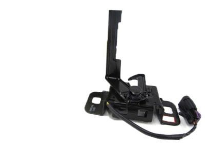 GM 42522220 Latch Assembly, Hood Primary & Secondary