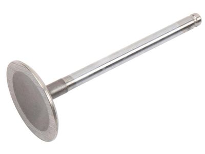 Pontiac Sunbird Intake Valve - 90220121