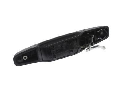 GM 84053438 Handle Assembly, Front Side Door Outside