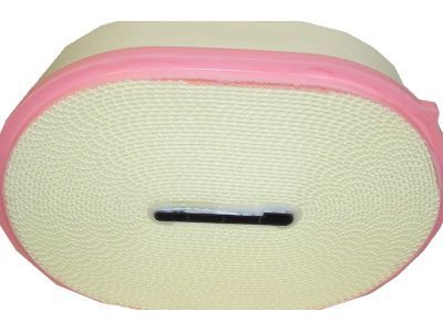 2009 Cadillac STS Air Filter - 15813300